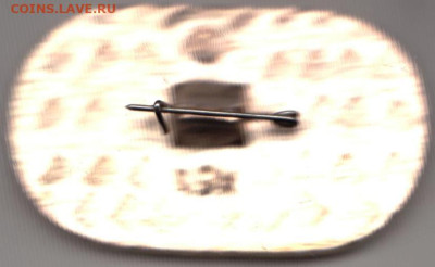 24 г. в 23.00 - 003