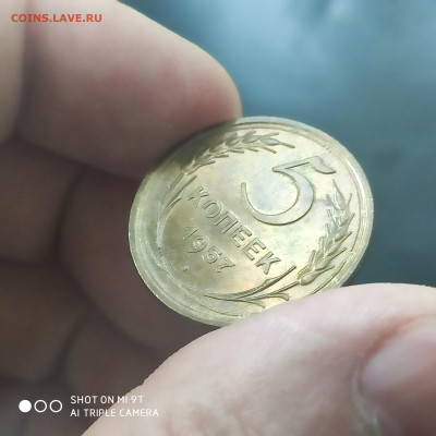 5 копеек 1957 UNC до 09.06. до 22.00 - 1717492242462