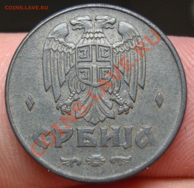 Цинк предпродажная - DSC02671.JPG