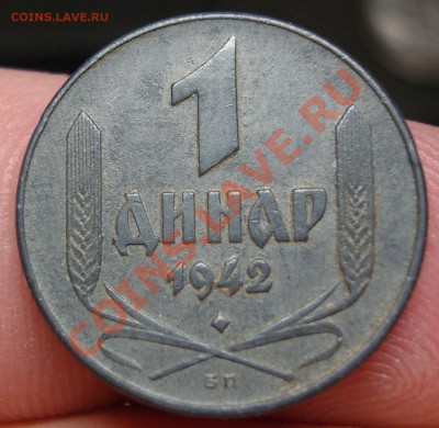 Цинк предпродажная - DSC02669.JPG