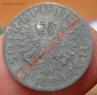 Цинк предпродажная - DSC02682.JPG