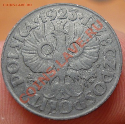 Цинк предпродажная - DSC02688.JPG