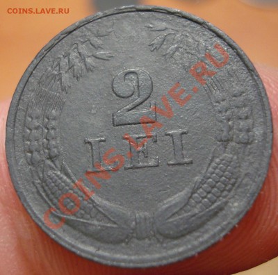 Цинк предпродажная - DSC02691.JPG