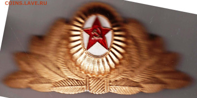 24 г. в 23.00 - 039