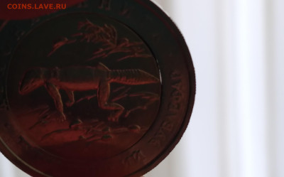 Красная книга Зублефар, просвет. - 20240606_105607