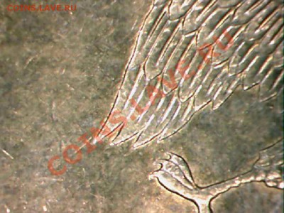 10рублей2010г. 1.23г ? - 10руб.2010-3.JPG