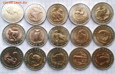 Красная книга, молодая Россия, набор до 10.06.24г. 22:00 - 20240607_183717