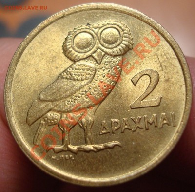 Птички, рыбки и другая животинка - DSC02712.JPG