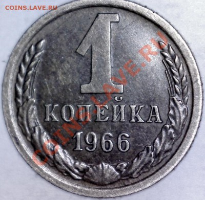 1 коп 66.шт.1.32(5 стеблей) до 23.01 в 23-00 мск - 3