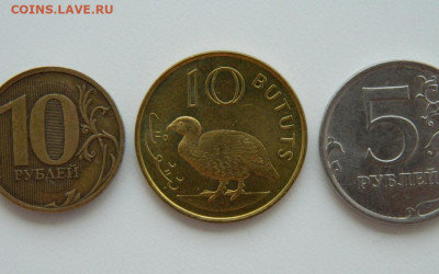 Гамбия 10 бутут 1998 г. (Фауна) до 13.06.24 - DSCN8619.JPG