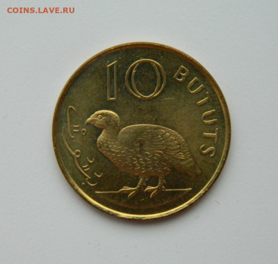 Гамбия 10 бутут 1998 г. (Фауна) до 13.06.24 - DSCN8690.JPG