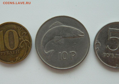 Ирландия 10 пенсов 1976 г. (Фауна) Крупная до 13.06.24 - DSCN8633.JPG