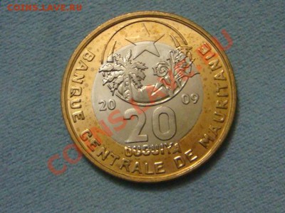 -vБ- Мавритания 20 угия 2009 бимет. до 26.01(21.00) - DSC06182.JPG
