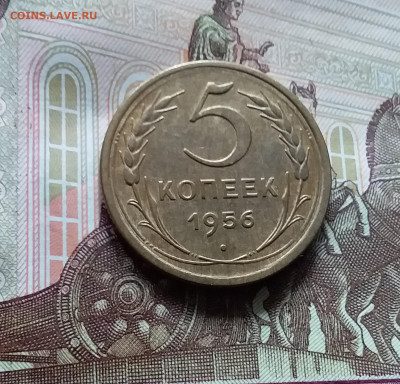5 копеек 1956. До 15.06.24 в 22.00 - 20240610_135736