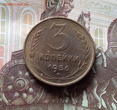 3 копейки 1956. До 15.06.24 в 22.00 - 20240610_152146