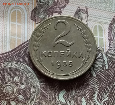 2 копейки 1955. До 15.06.24 в 22.00 - 20240610_164720