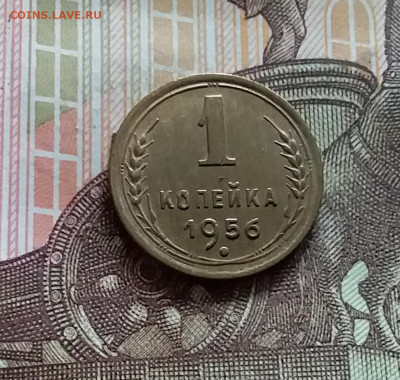 1 копейка 1956. До 15.06.24 в 22.00 - 20240610_173249