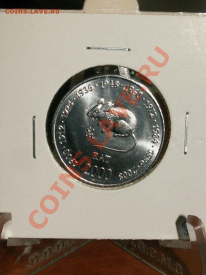 Птички, рыбки и другая животинка - w6 050