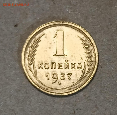 Вопросы по разновидностям - IMG20240610195728