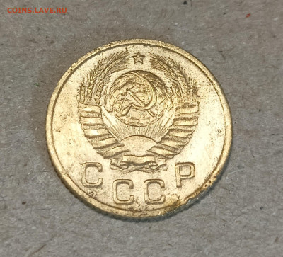 Вопросы по разновидностям - IMG20240610202227