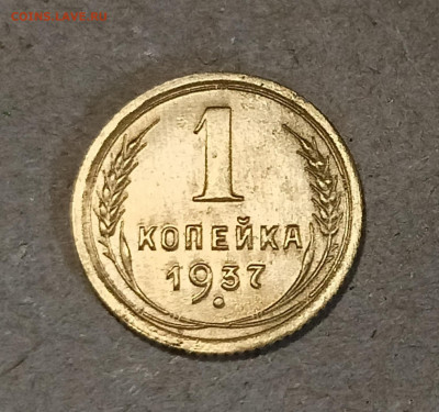 Вопросы по разновидностям - IMG20240610202723