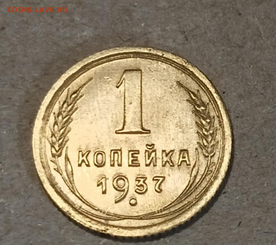 Вопросы по разновидностям - IMG20240610202737