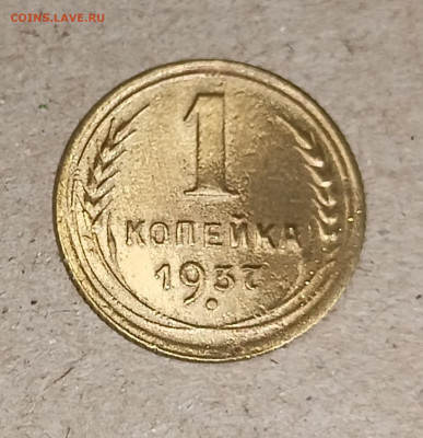 Вопросы по разновидностям - IMG20240610204149