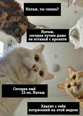 делает - прямо сейчас !!! - cbd8ec9cb4f2bc55bb1b55ec5f4a9d86