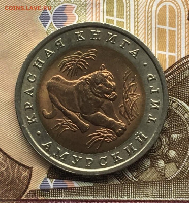 КК 10 руб 1992 Амурский тигр с 200 руб до 19.06. в 22.00 - IMG_E8456.JPG