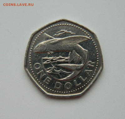 Барбадос 1 доллар 2000 г. (Фауна) до 19.06.24 - DSCN8913.JPG