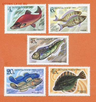 СССР Рыбы 1983 г. полная серия - почта-марки_СССР_рыбы-1983_п-с-5шт_чист