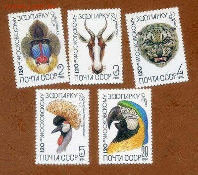 СССР Московский зоопарк 1984 г. полная серия - почта-марки_СССР_Московский-зоопарк-1984_п-с-5шт_чист