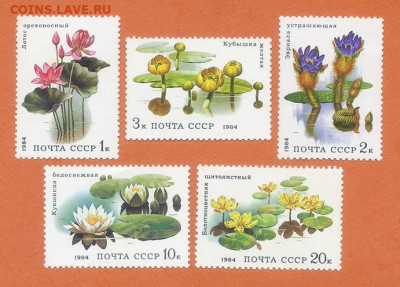 СССР Водные цветы 1984 г. полная серия - почта-марки_СССР_водные-цветы-1984_п-с-5шт_чист