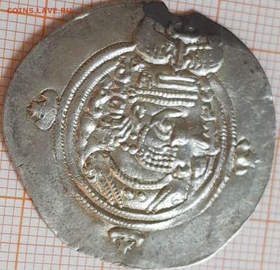 Сасанид - сасанид 15.6-3
