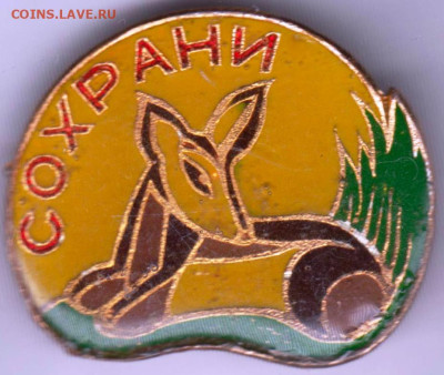 24 г. в 23.00 - 026