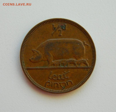 2 пенни 1964 г. (Фауна) до 20.06.24 - DSCN9957.JPG