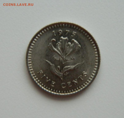 Британская Родезия 5 центов 1975 г. до 20.06.24 - DSCN0139.JPG