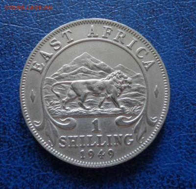 Восточная Африка 1 шиллинг 1949 до 20.06 - DSC01515.JPG