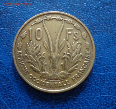 Французская Западная Африка 10 франка 1956 до 20.06 - DSC01550.JPG
