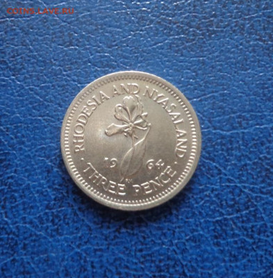 Родезия и Ньясаленд 3 пенса 1962 до 20.06 - DSC01566.JPG