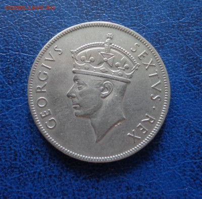 Восточная Африка 1 шиллинг 1949 до 20.06 - DSC01512.JPG