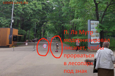 Ассоциация слов. - IMG_20240616_133345