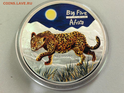 240фр 2008 Конго. Большая африканская 5-ка. Леопард, Ag999 - ЯЯ Большая 5-ка Леопард-1