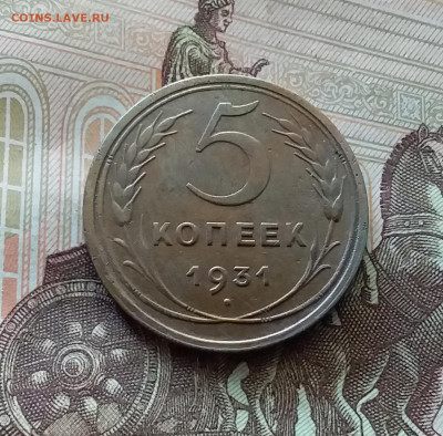 5 копеек 1931. До 26.06.24 в 22.00 - 20240622_113235