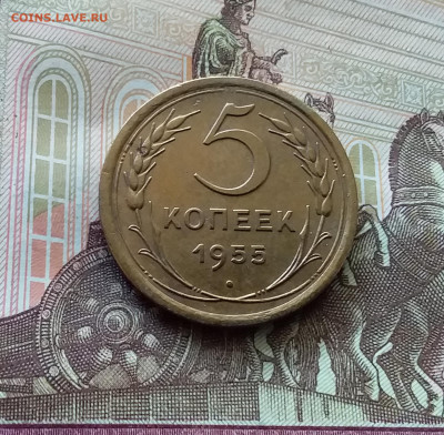 5 копеек 1955. До 26.06.24 в 22.00 - 20240622_114556