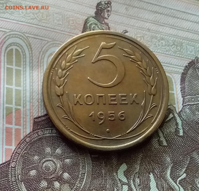 5 копеек 1956. До 26.06.24 в 22.00 - 20240622_114823