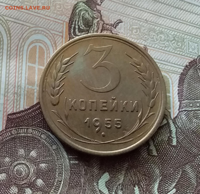 3 копейки 1955. До 26.06.24 в 22.00 - 20240622_122736