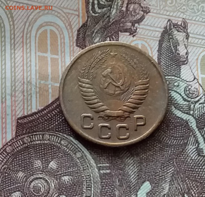 1 копейка 1956. До 26.06.24 в 22.00 - 20240622_153045