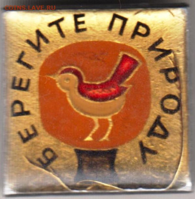 24 г. в 23.00 - 038
