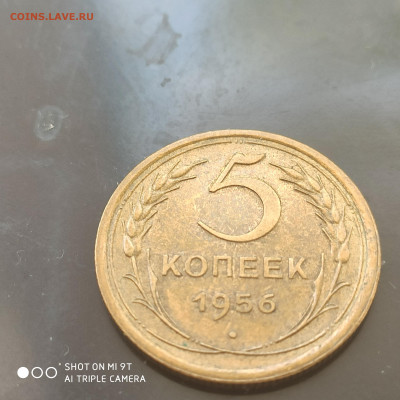 5 копеек 1956 aUNC года в коллекцию до 29.06.2024 - 1719150006351